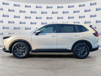 2026 Honda CR-V 2WD EX-L