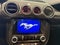 2021 Ford Mustang Mach 1