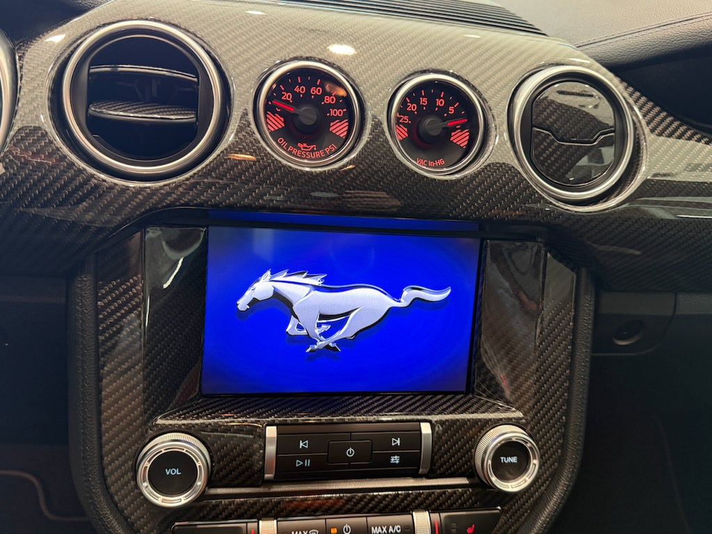 2021 Ford Mustang Mach 1