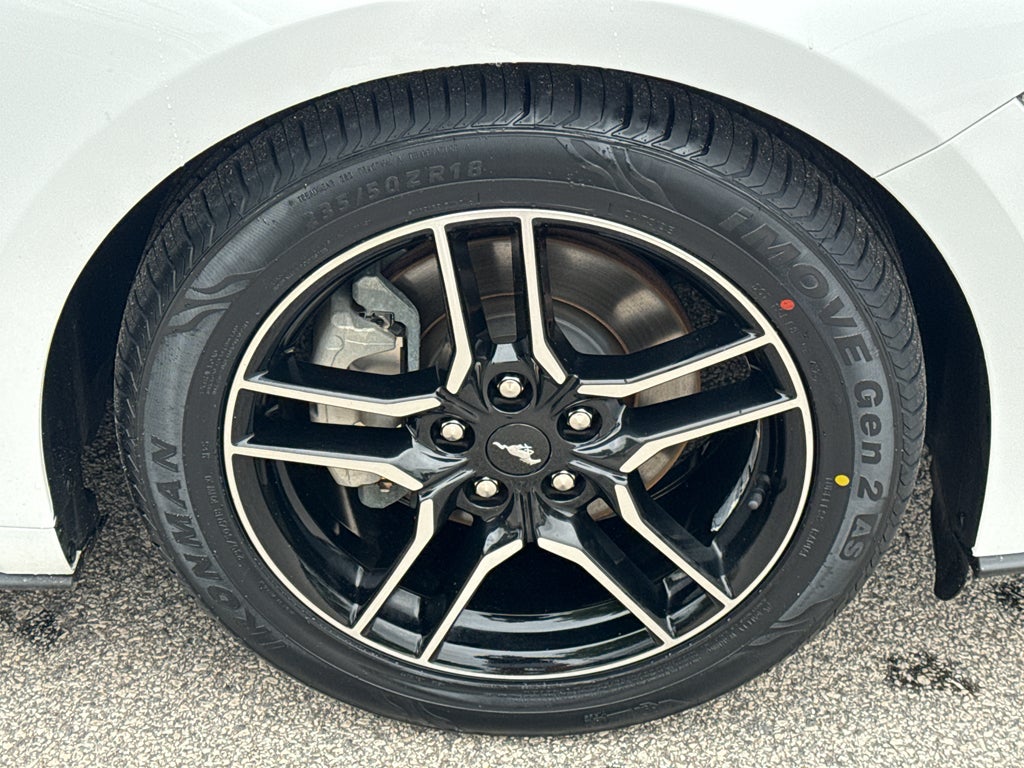 2019 Ford Mustang EcoBoost Premium