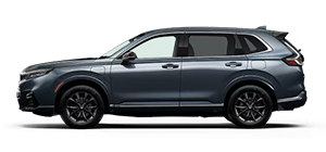 Burns Honda in Orangeburg SC